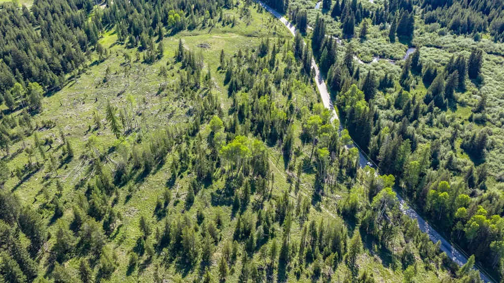 Nhn Fortine Creek Road Trego MT 59934