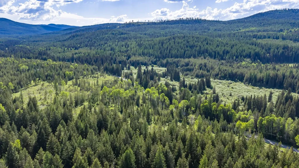 Nhn Fortine Creek Road Trego MT 59934