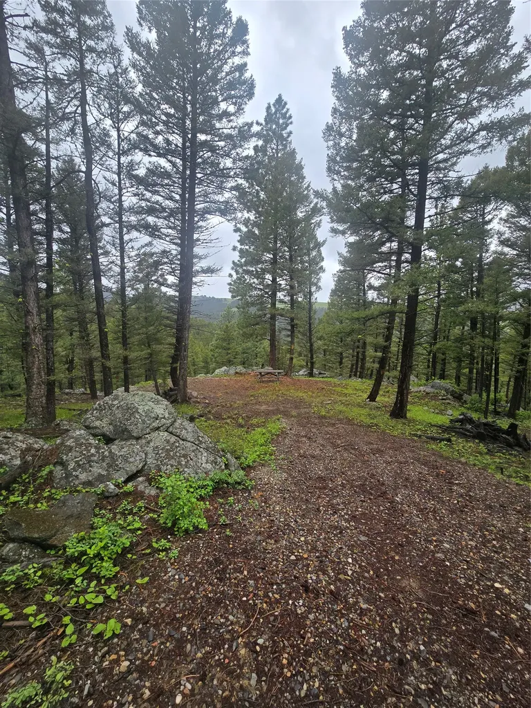 60 Snowberry Lane Drummond MT 59832
