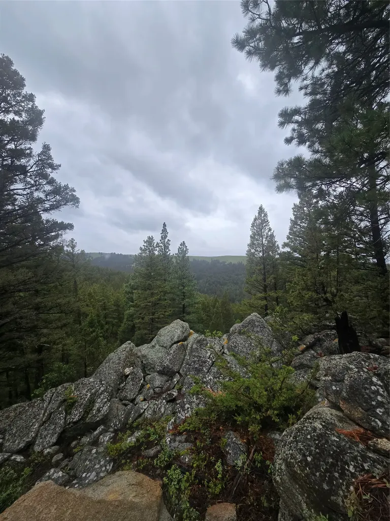 60 Snowberry Lane Drummond MT 59832