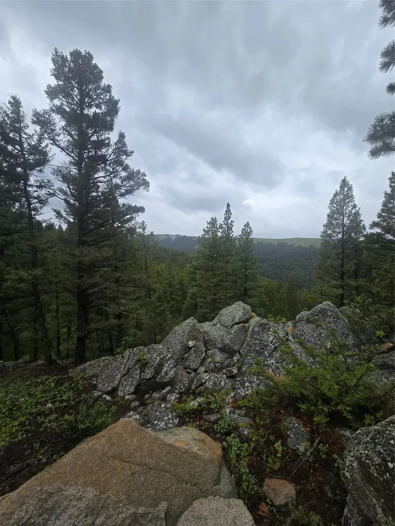 60 Snowberry Lane Drummond MT 59832