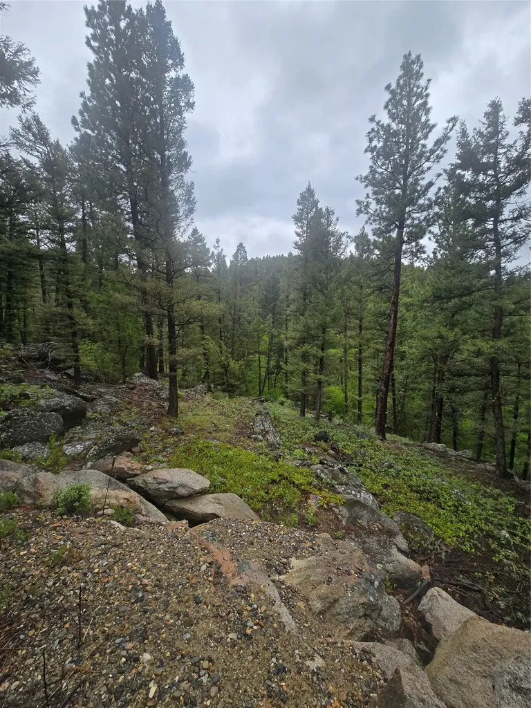 60 Snowberry Lane Drummond MT 59832