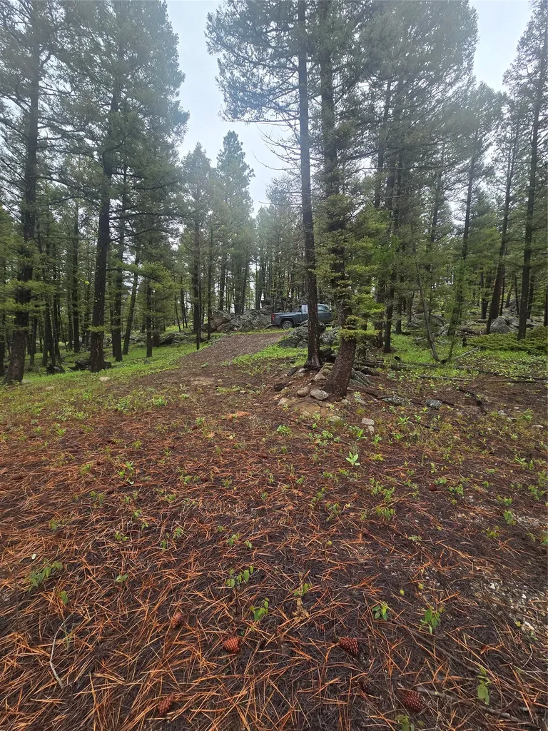 60 Snowberry Lane Drummond MT 59832
