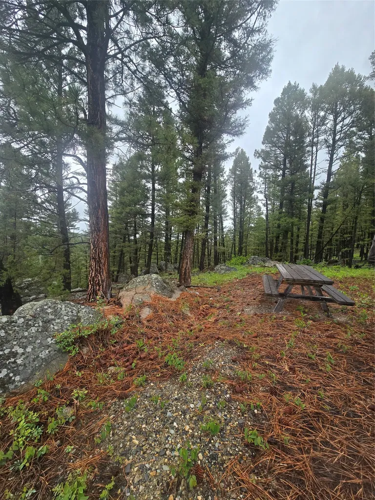 60 Snowberry Lane Drummond MT 59832