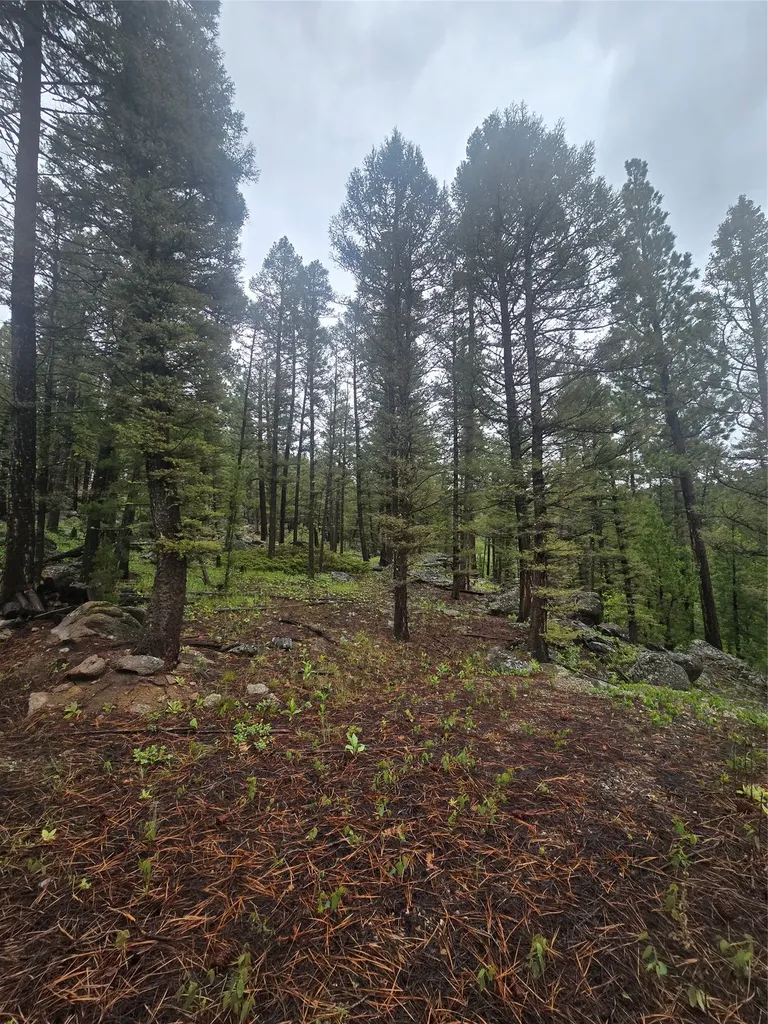 60 Snowberry Lane Drummond MT 59832