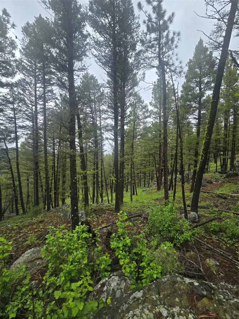 60 Snowberry Lane Drummond MT 59832