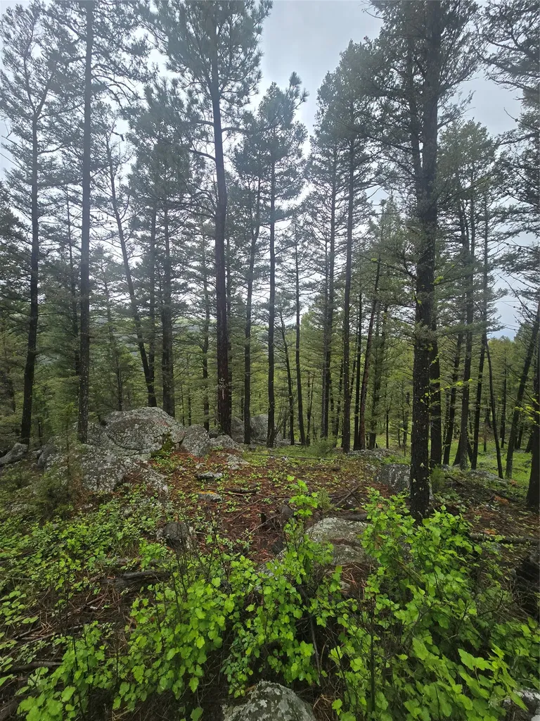 60 Snowberry Lane Drummond MT 59832