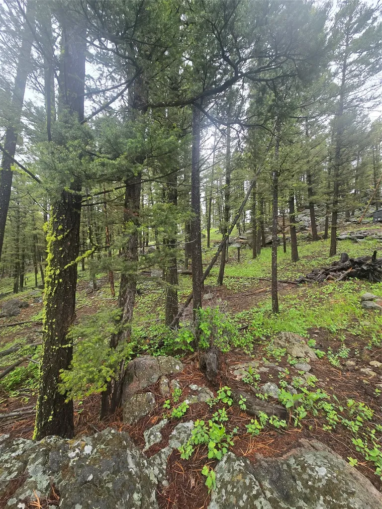 60 Snowberry Lane Drummond MT 59832