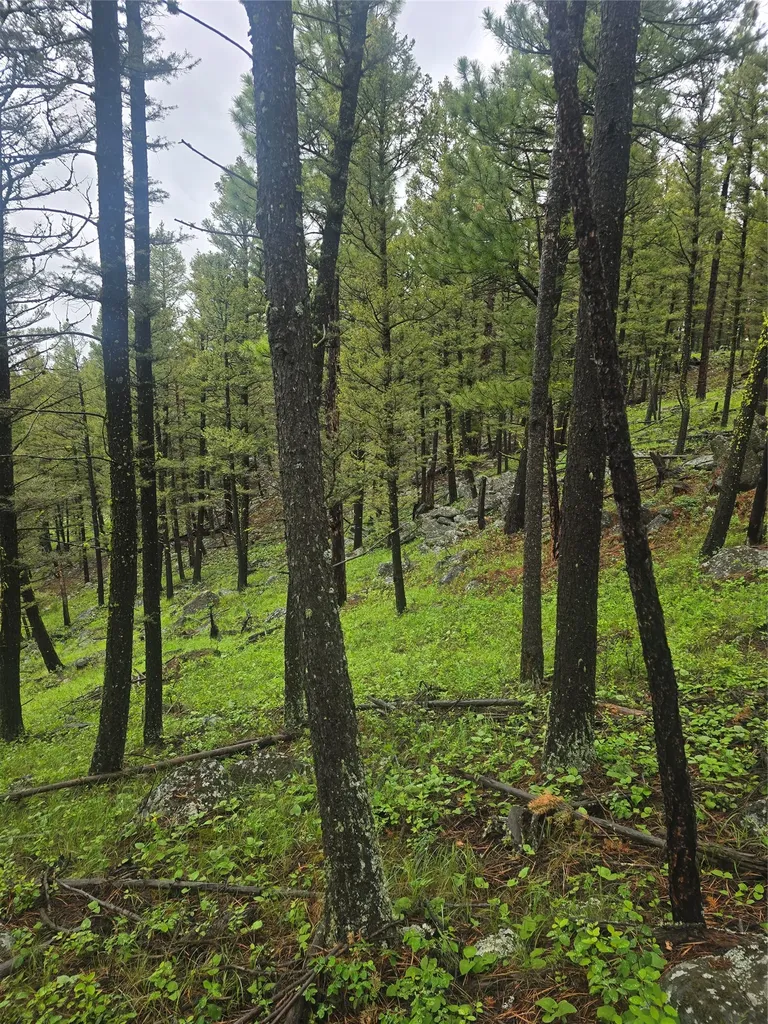 60 Snowberry Lane Drummond MT 59832