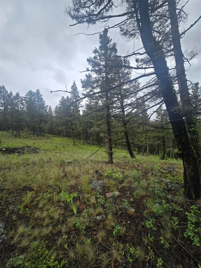 60 Snowberry Lane Drummond MT 59832