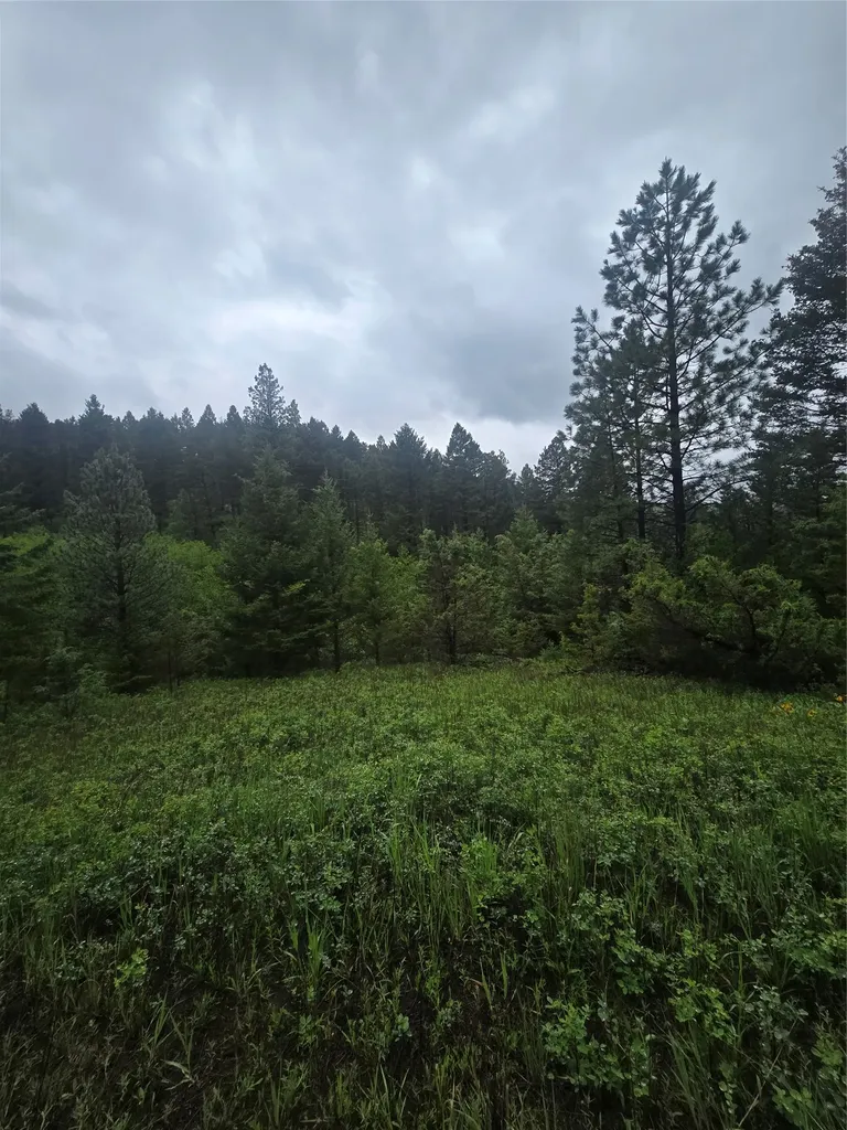 60 Snowberry Lane Drummond MT 59832