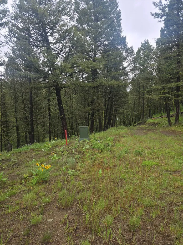 60 Snowberry Lane Drummond MT 59832
