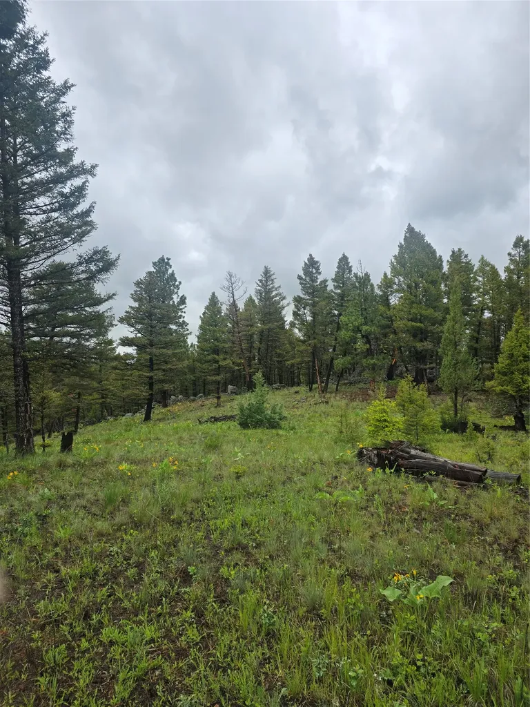 60 Snowberry Lane Drummond MT 59832