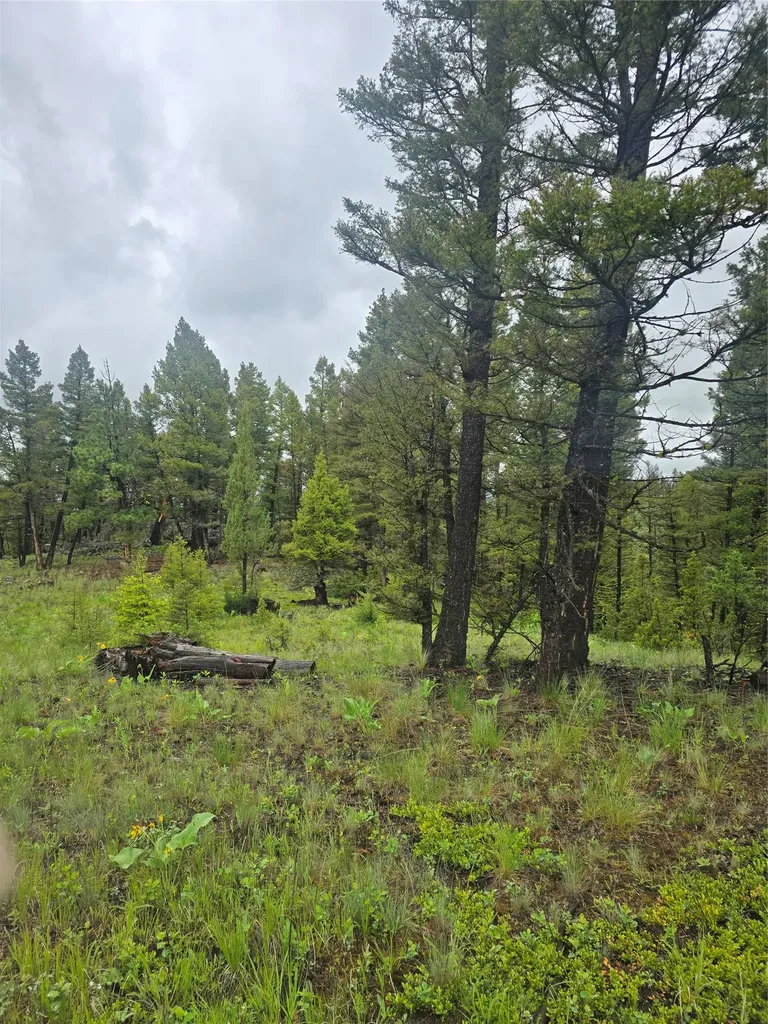 60 Snowberry Lane Drummond MT 59832