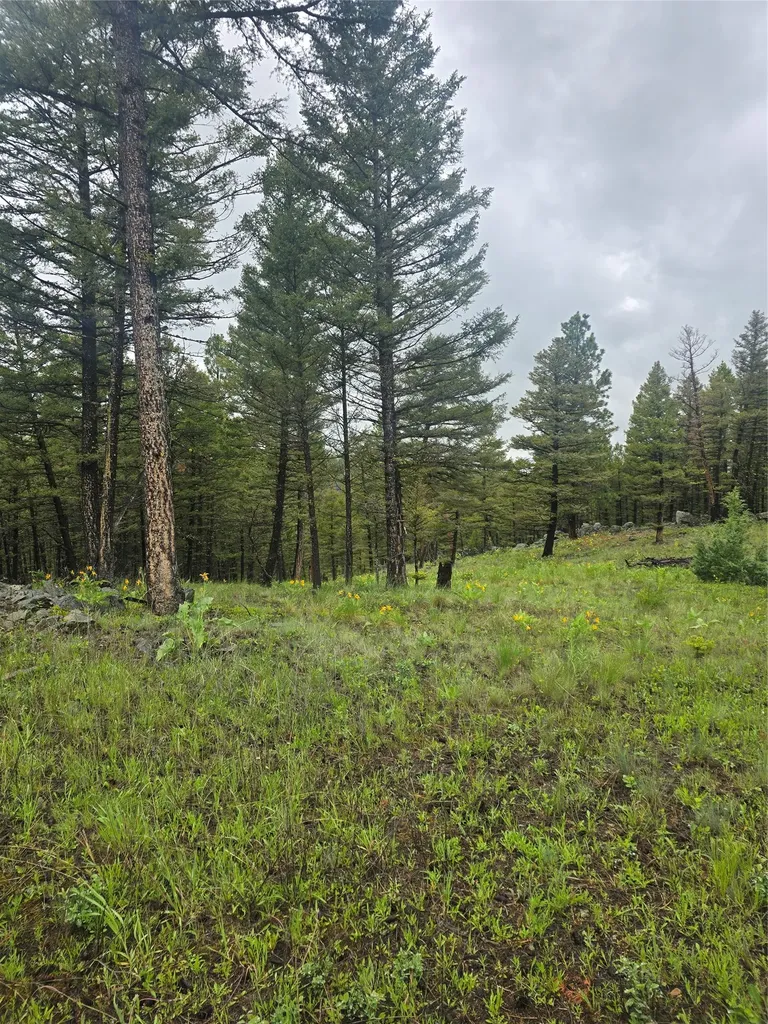 60 Snowberry Lane Drummond MT 59832