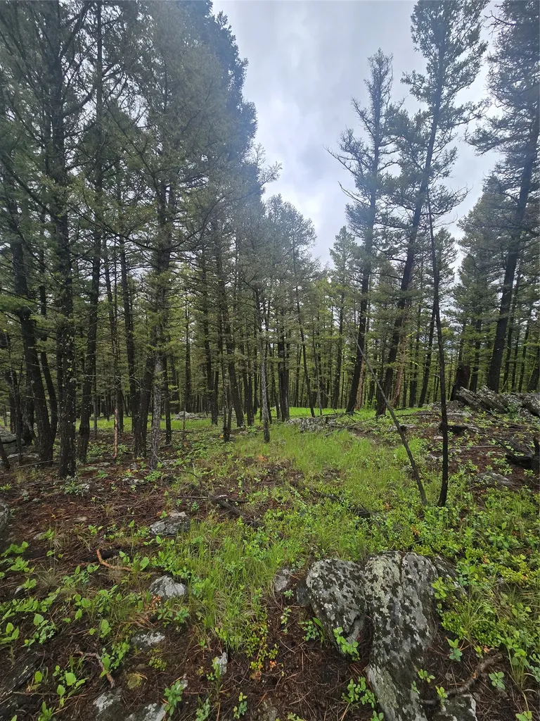 60 Snowberry Lane Drummond MT 59832