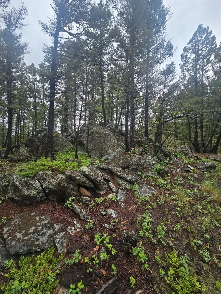 60 Snowberry Lane Drummond MT 59832