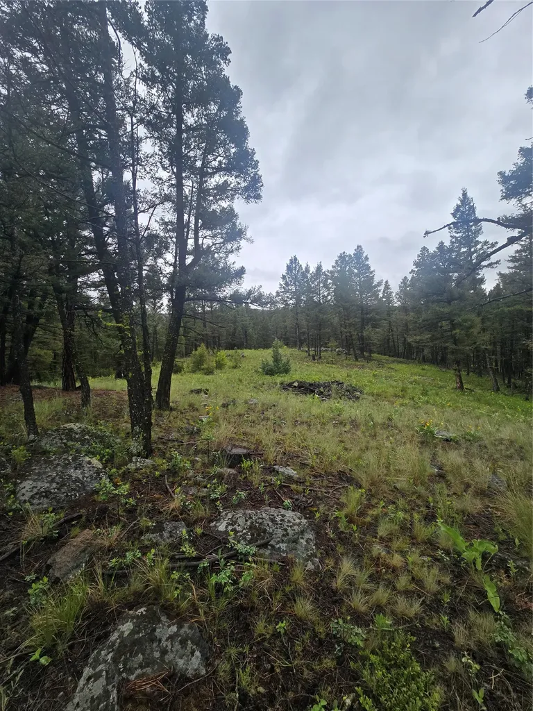 60 Snowberry Lane Drummond MT 59832