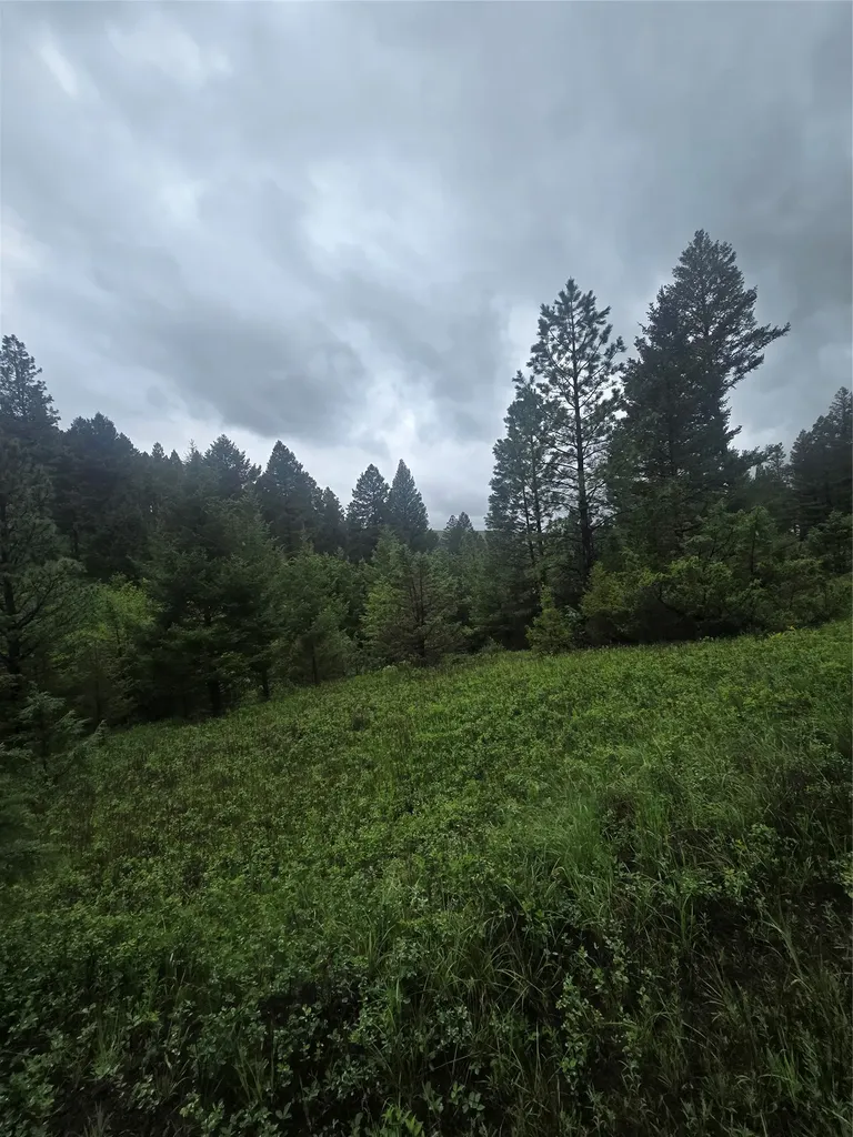 60 Snowberry Lane Drummond MT 59832