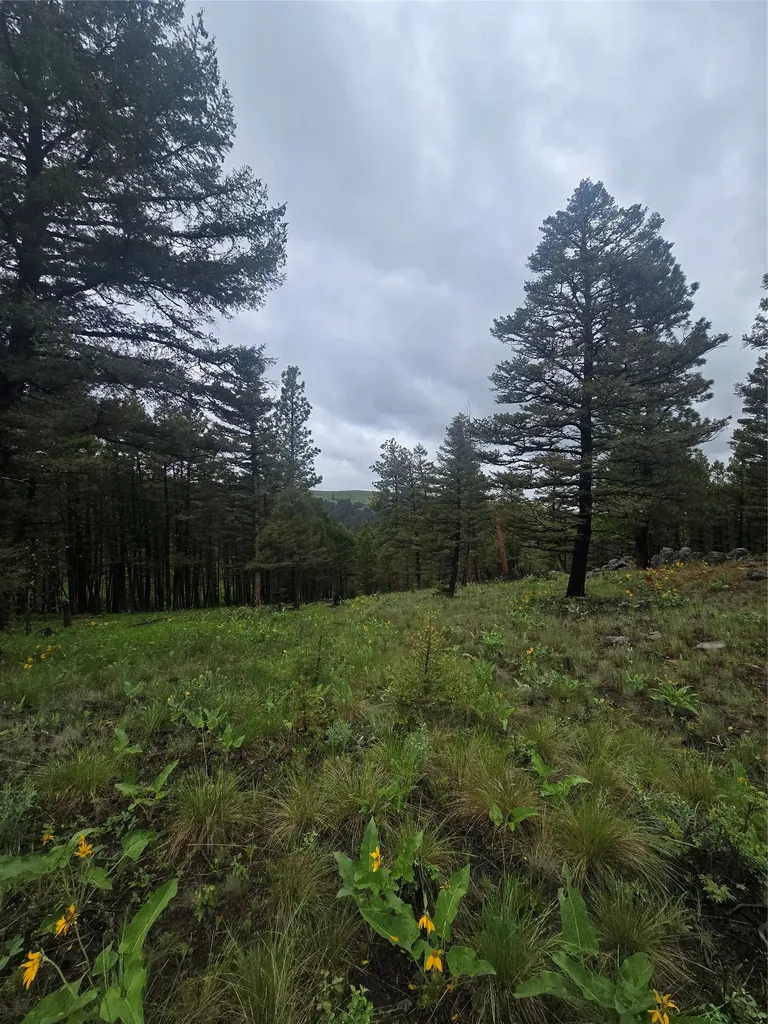 60 Snowberry Lane Drummond MT 59832