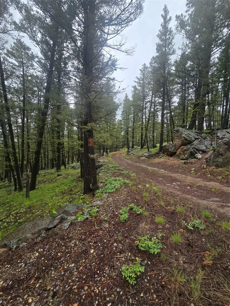 60 Snowberry Lane Drummond MT 59832