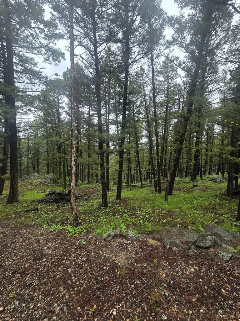 60 Snowberry Lane Drummond MT 59832