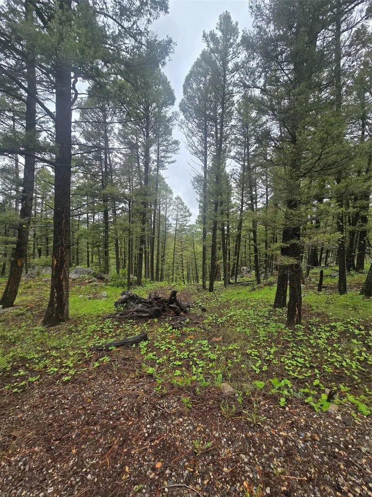 60 Snowberry Lane Drummond MT 59832