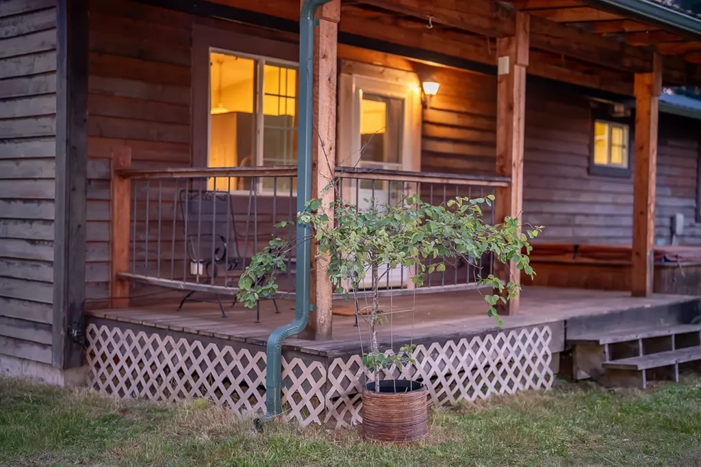 36 Northshore Road Trout Creek MT 59874