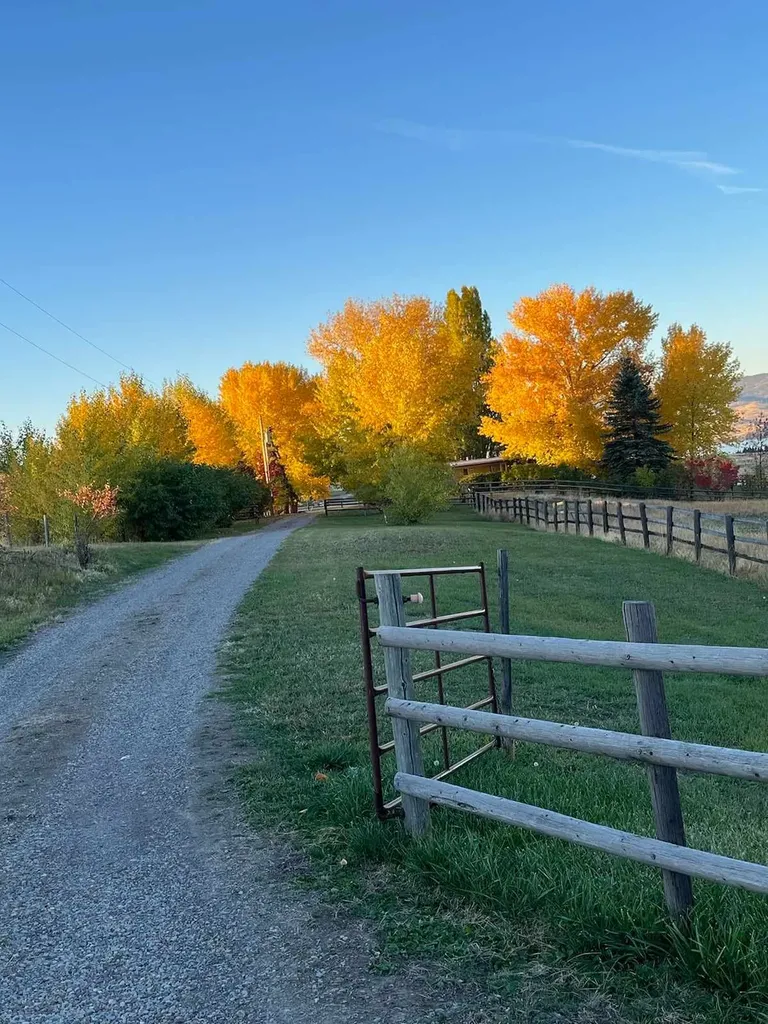 30445 Walking Horse Lane Big Arm MT 59910