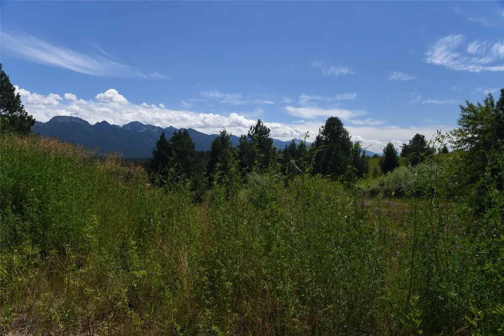 37024 Schafer Road Polson MT 59860