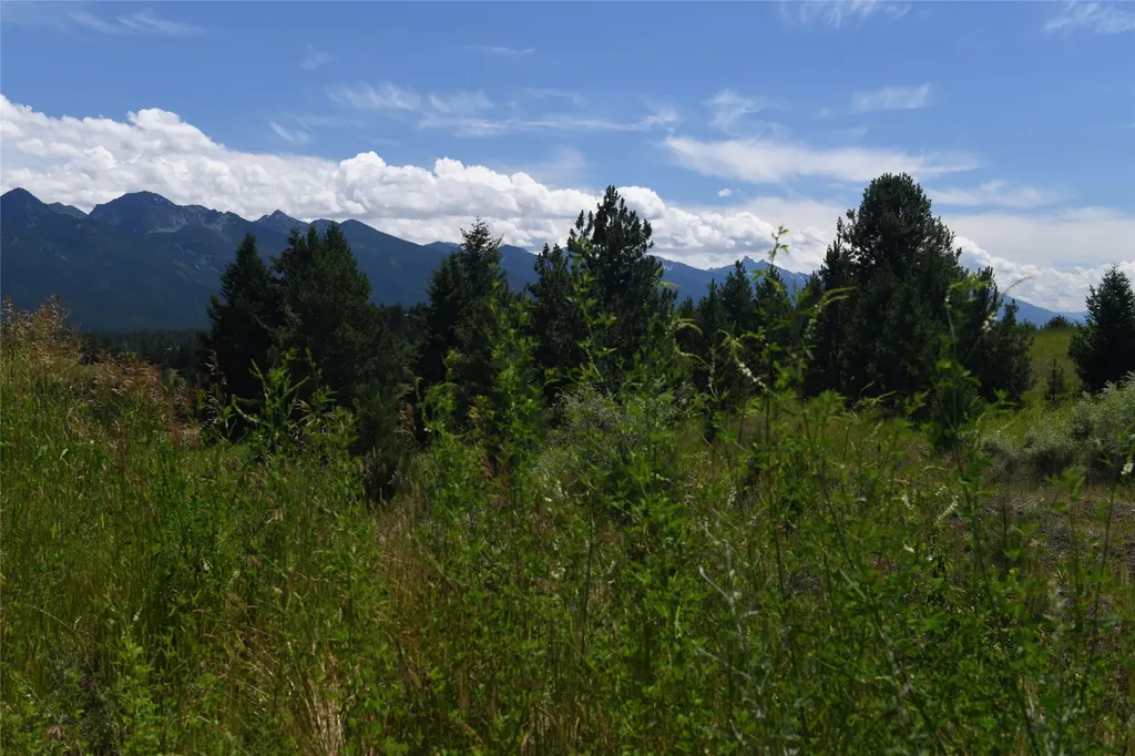 37024 Schafer Road Polson MT 59860