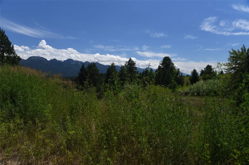 37024 Schafer Road Polson MT 59860