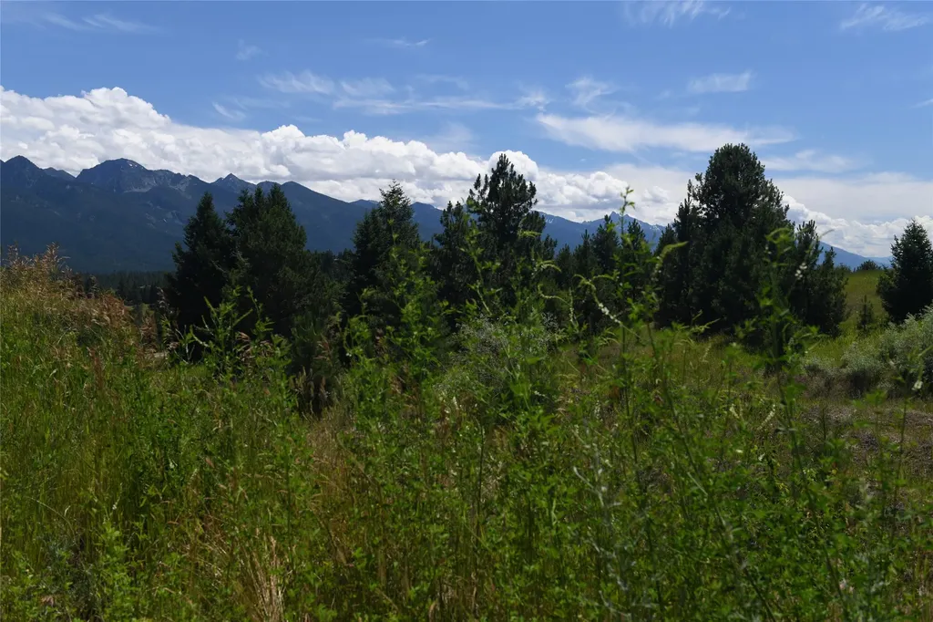 37024 Schafer Road Polson MT 59860