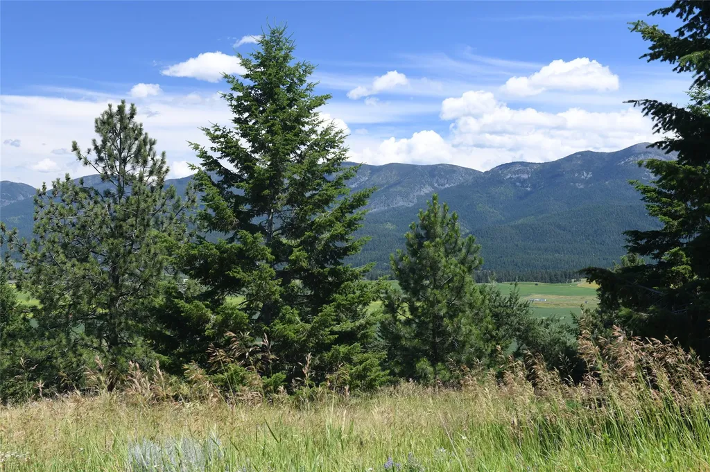 37024 Schafer Road Polson MT 59860