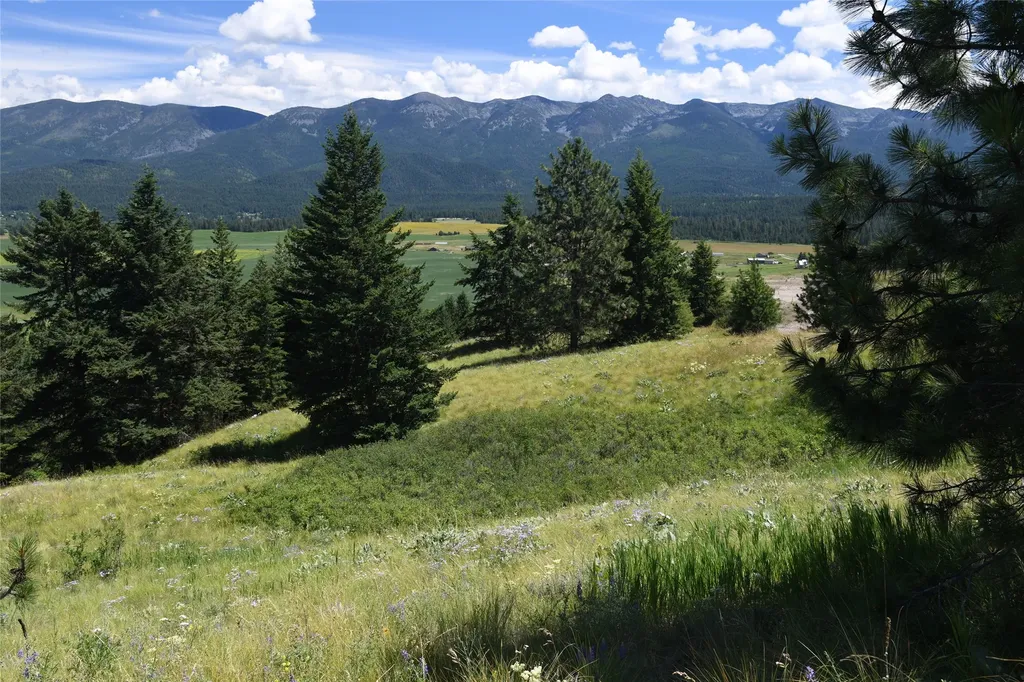 37024 Schafer Road Polson MT 59860