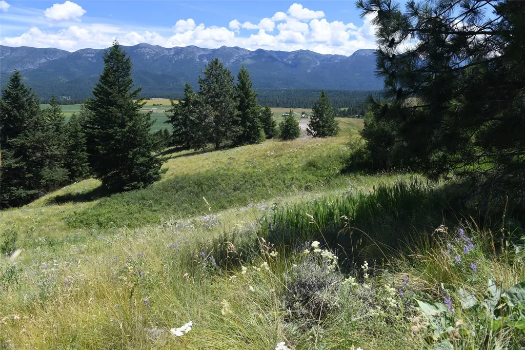 37024 Schafer Road Polson MT 59860