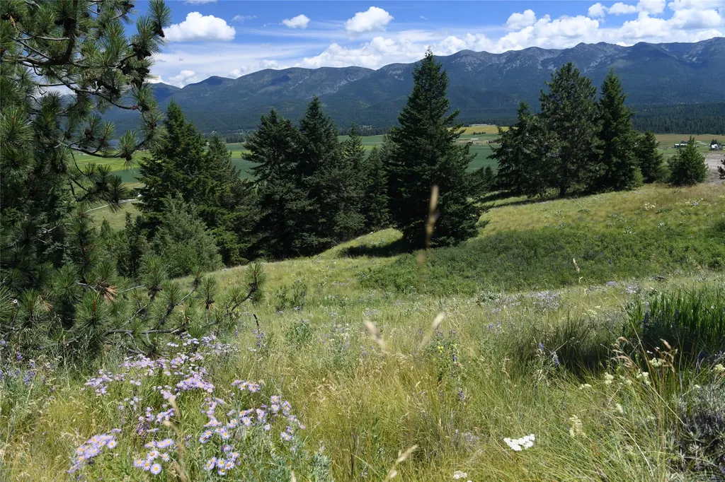 37024 Schafer Road Polson MT 59860