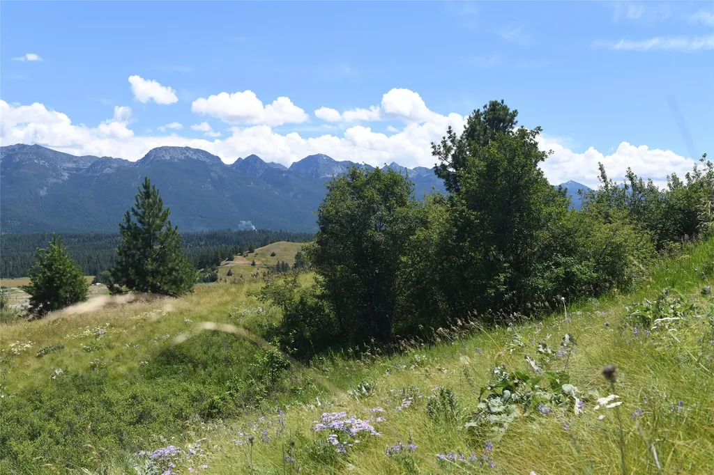 37024 Schafer Road Polson MT 59860