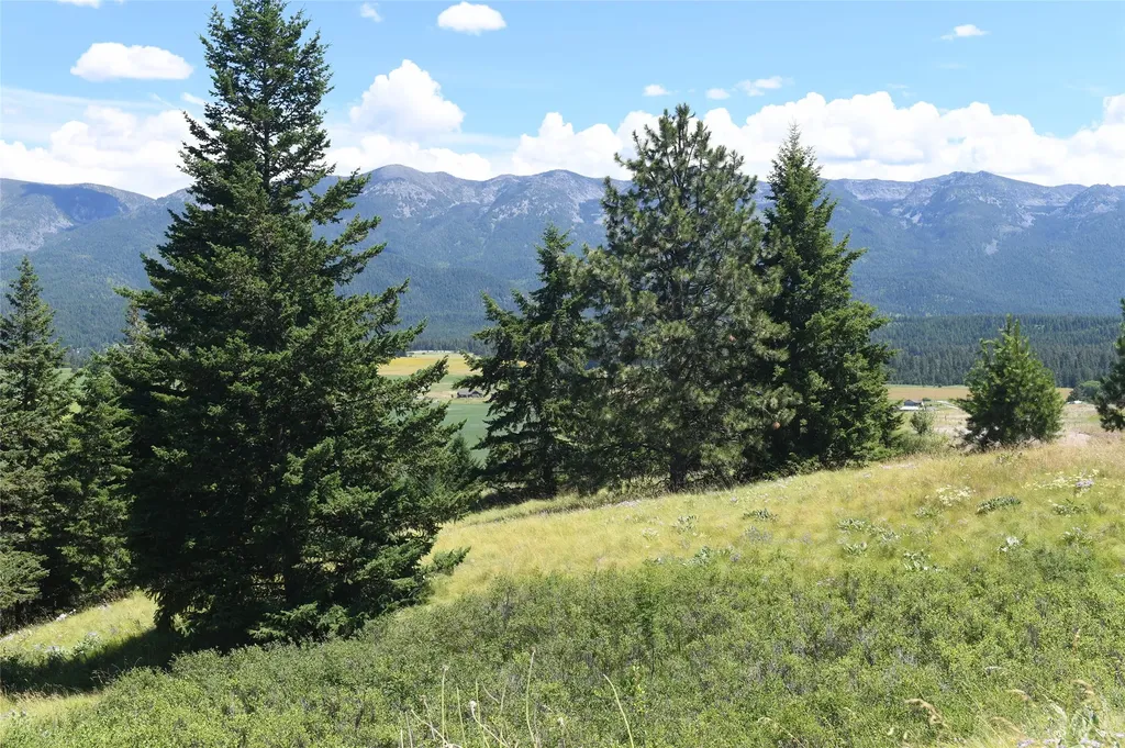 37024 Schafer Road Polson MT 59860