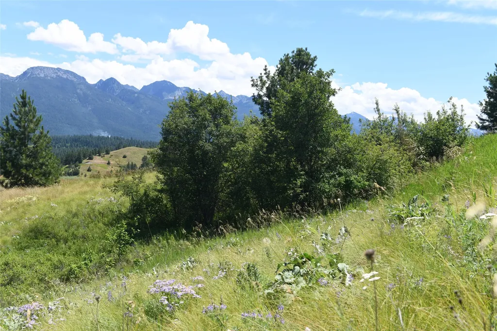 37024 Schafer Road Polson MT 59860