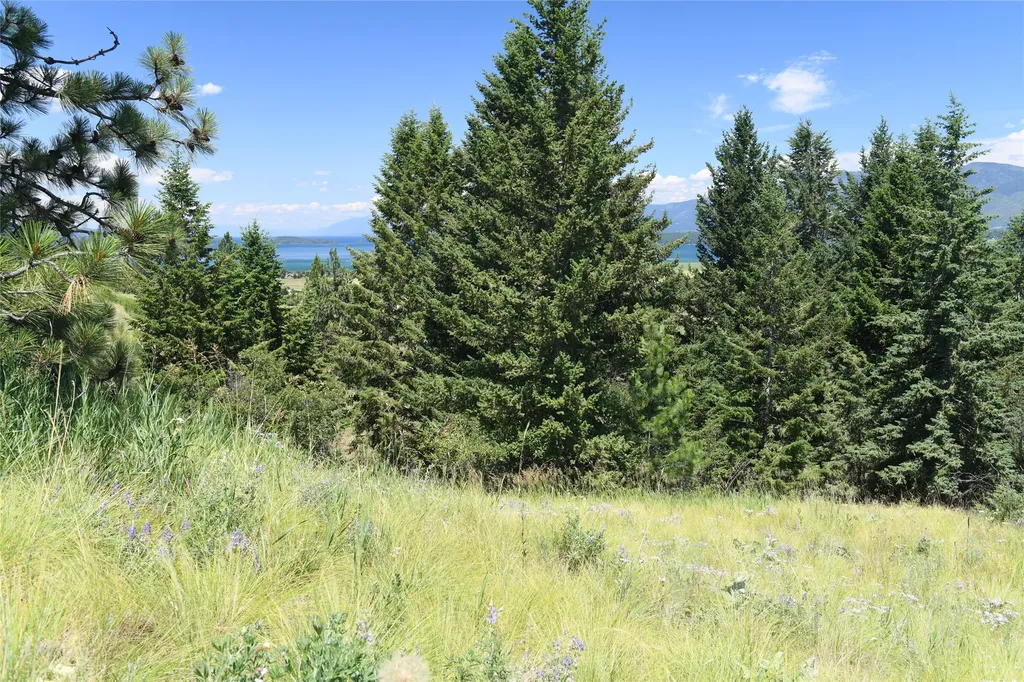 37024 Schafer Road Polson MT 59860