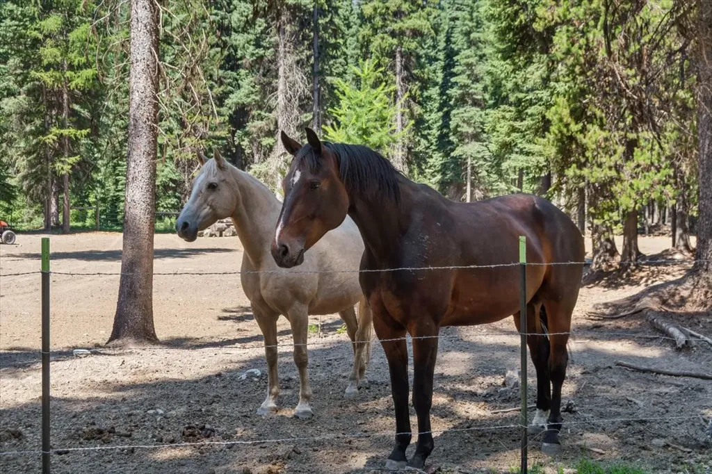 11710 Pinkham Creek Road Rexford MT 59930