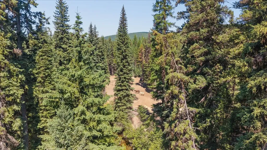 11710 Pinkham Creek Road Rexford MT 59930
