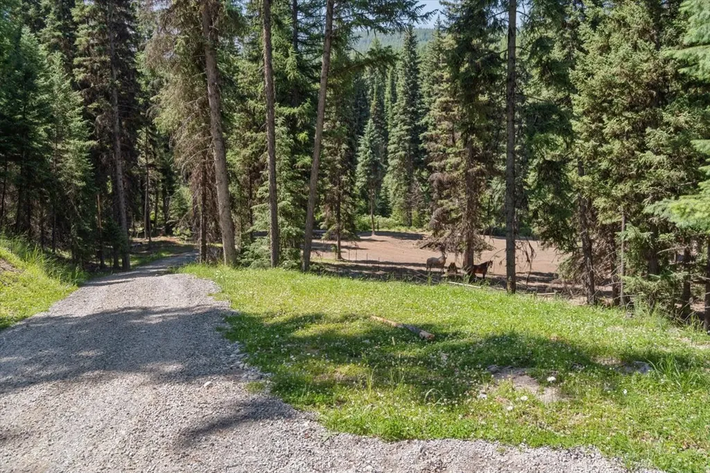 11710 Pinkham Creek Road Rexford MT 59930