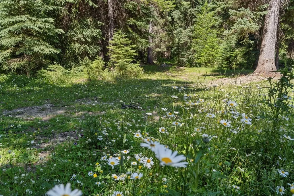 11710 Pinkham Creek Road Rexford MT 59930