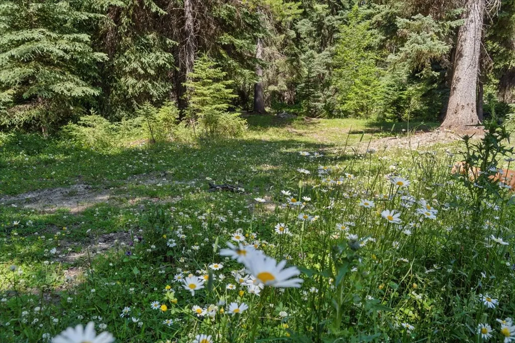 11710 Pinkham Creek Road Rexford MT 59930