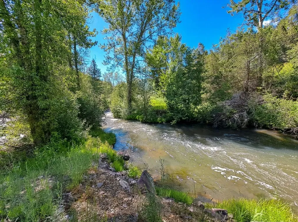 9319 Stemple Pass Road Lincoln MT 59639