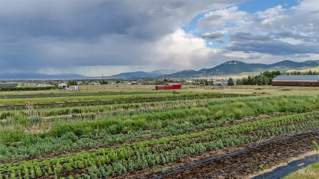 3980 Barrett Road Helena MT 59602