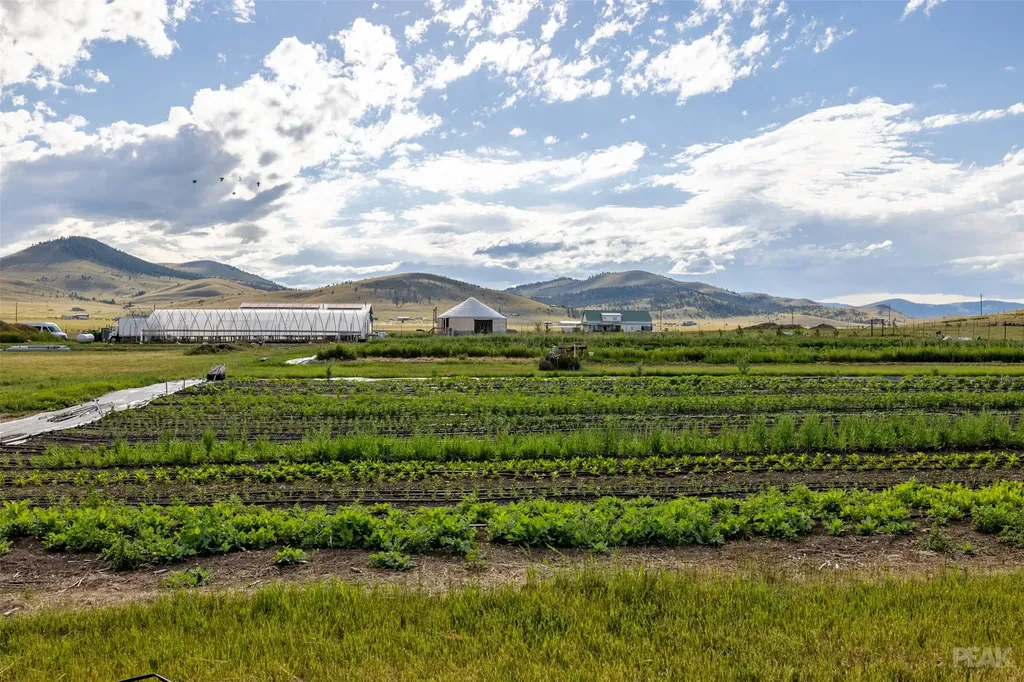 3980 Barrett Road Helena MT 59602