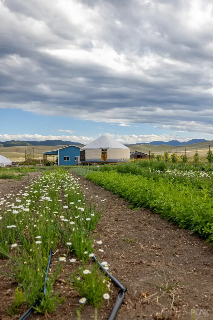 3980 Barrett Road Helena MT 59602